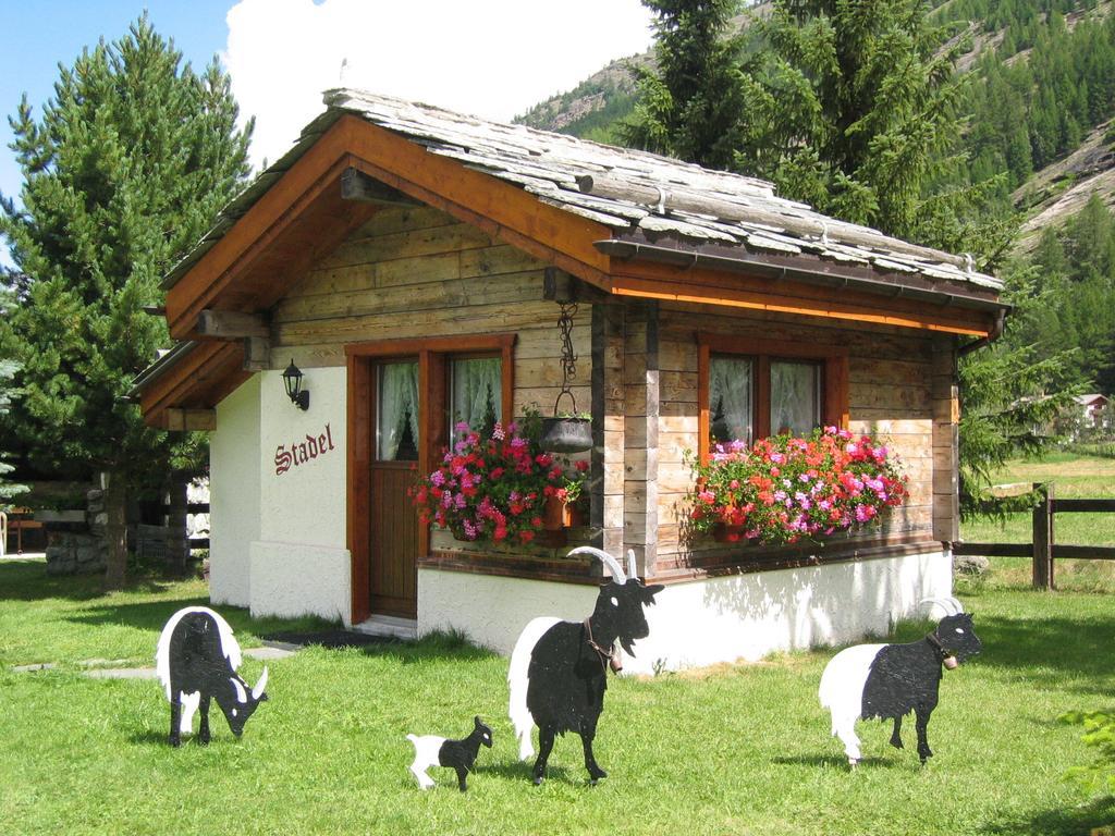 ザース・グルントHaus Alpensternアパートメント 部屋 写真