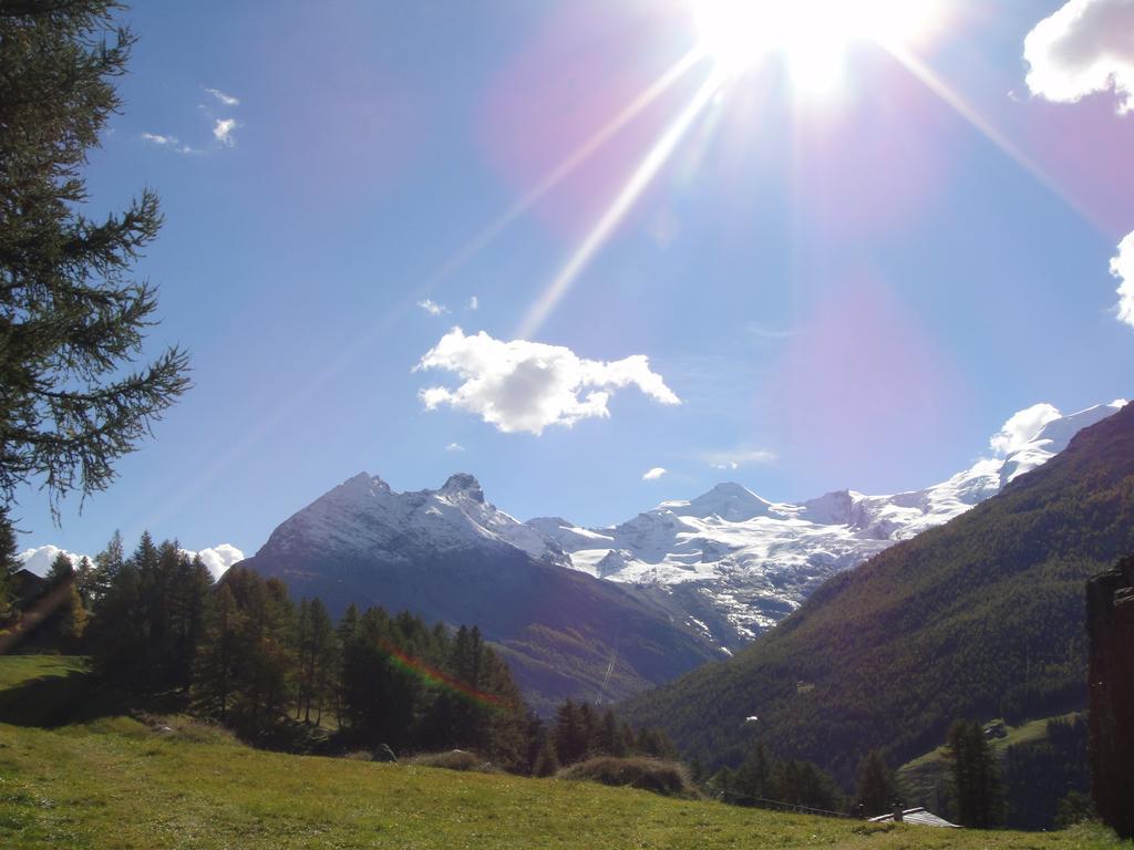 ザース・グルントHaus Alpensternアパートメント エクステリア 写真