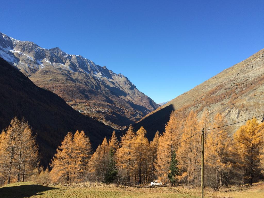 ザース・グルントHaus Alpensternアパートメント エクステリア 写真
