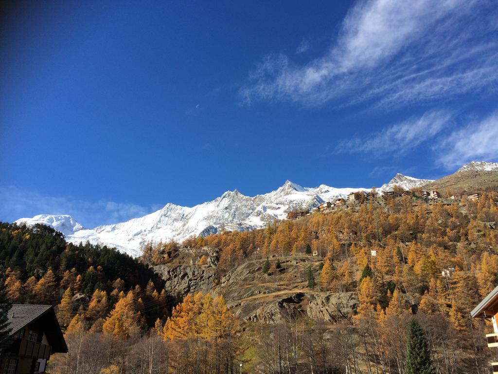 ザース・グルントHaus Alpensternアパートメント エクステリア 写真