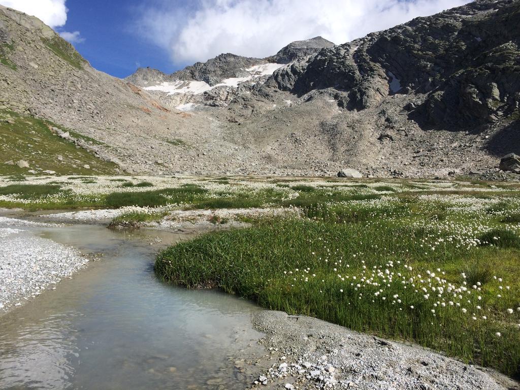 ザース・グルントHaus Alpensternアパートメント エクステリア 写真