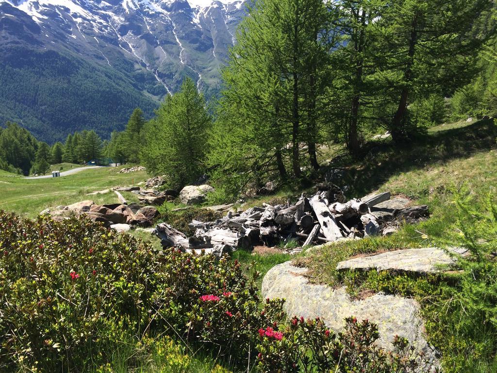 ザース・グルントHaus Alpensternアパートメント エクステリア 写真