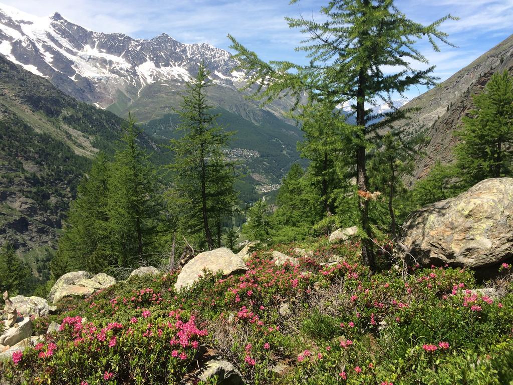 ザース・グルントHaus Alpensternアパートメント エクステリア 写真